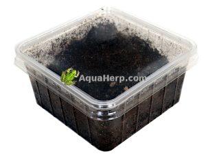 Terraario ruokaeläimet.